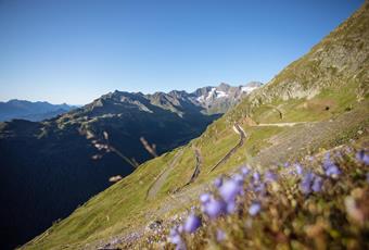 Il servizio di bikeshuttle in Alto Alto Adige