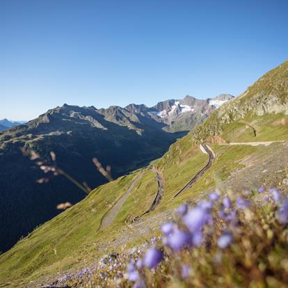 Bike Shuttles in South Tyrol