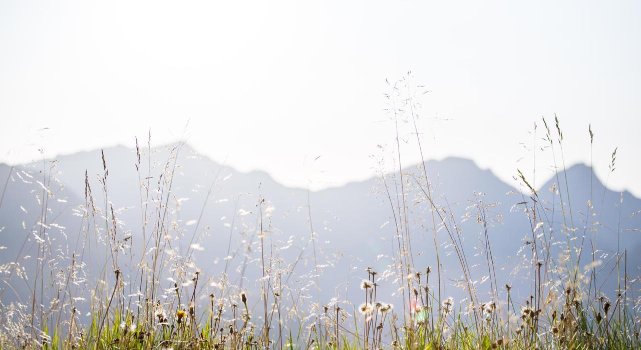Natur-Berge-und-Wiese-Meraner-Land-bp