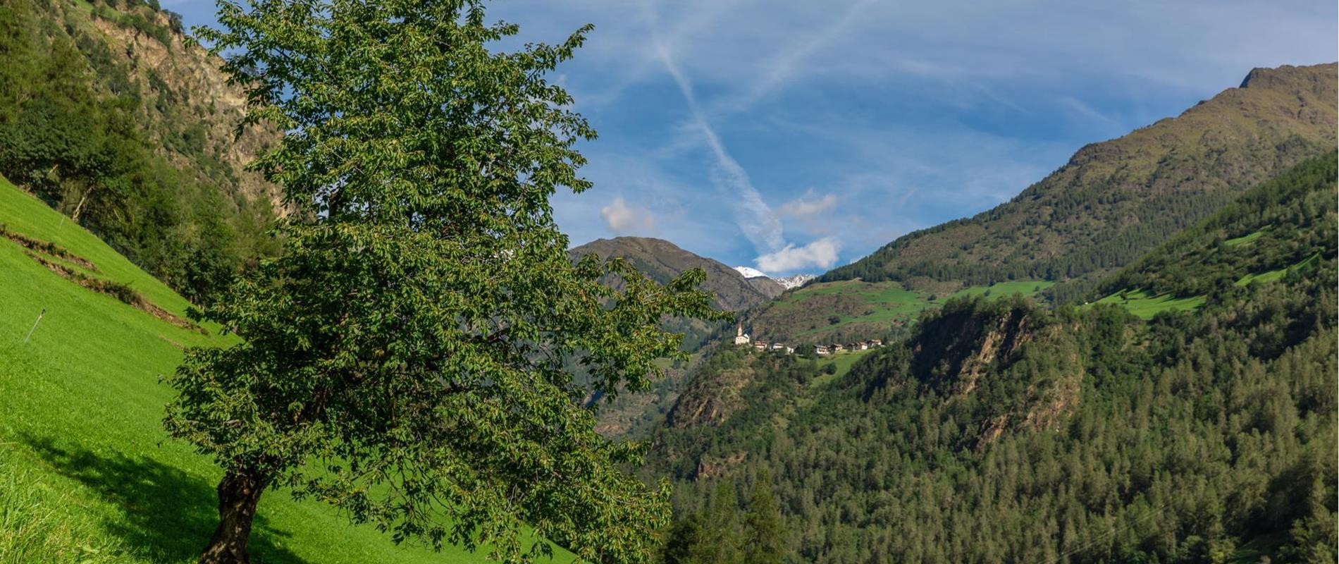 Holiday Apartments in the Schnalstal Valley