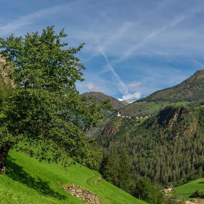 Holiday Apartments in the Schnalstal Valley