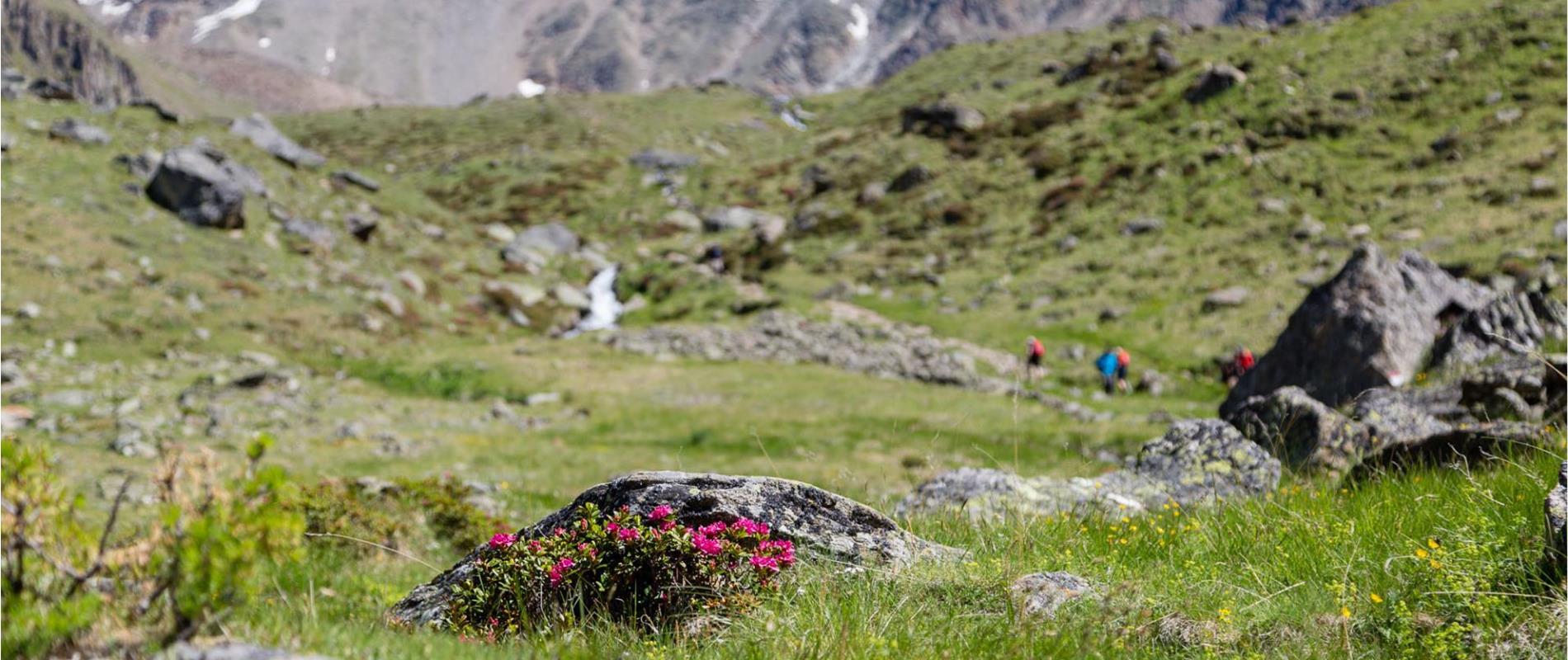 Hiking in the Schnalstal Valley