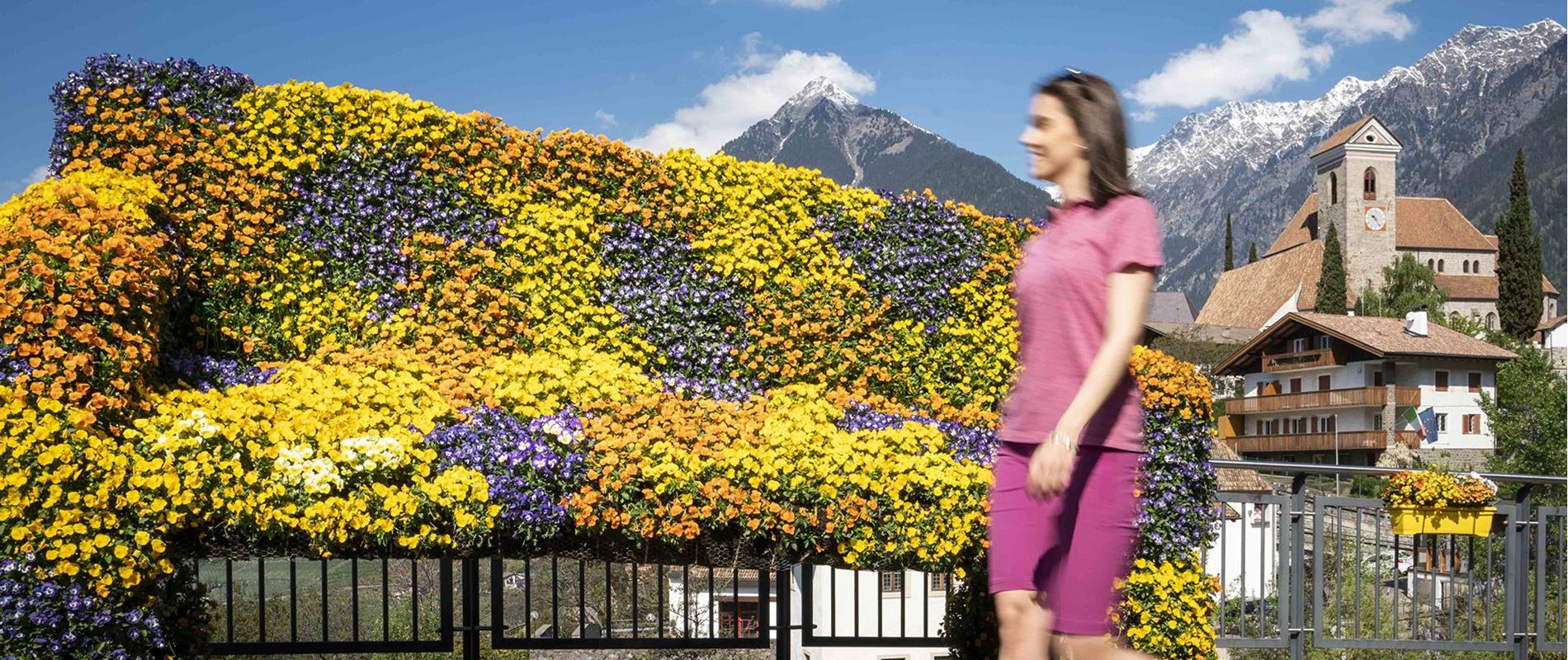 Primavera Meranese a Scena