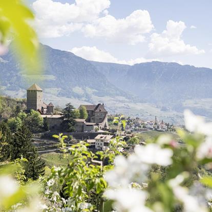 VACANZA SLOW VICINO A MERANO