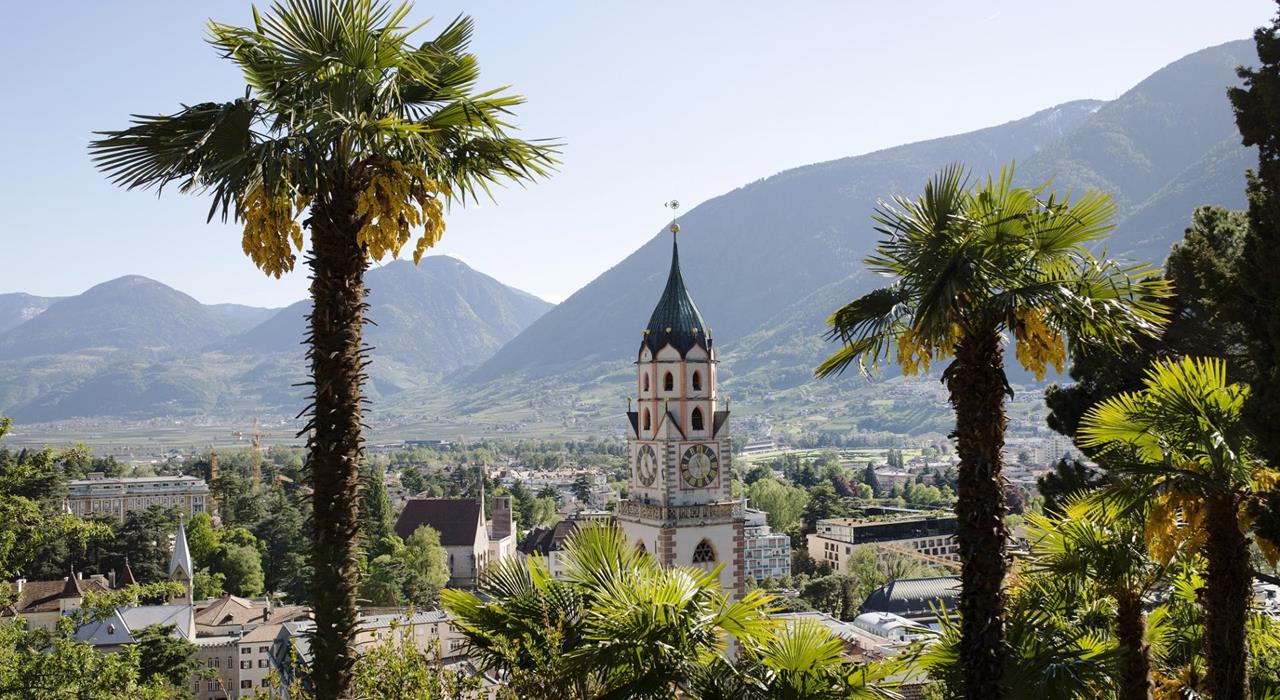 Meran-Palmen-St.Nikolaus-SK
