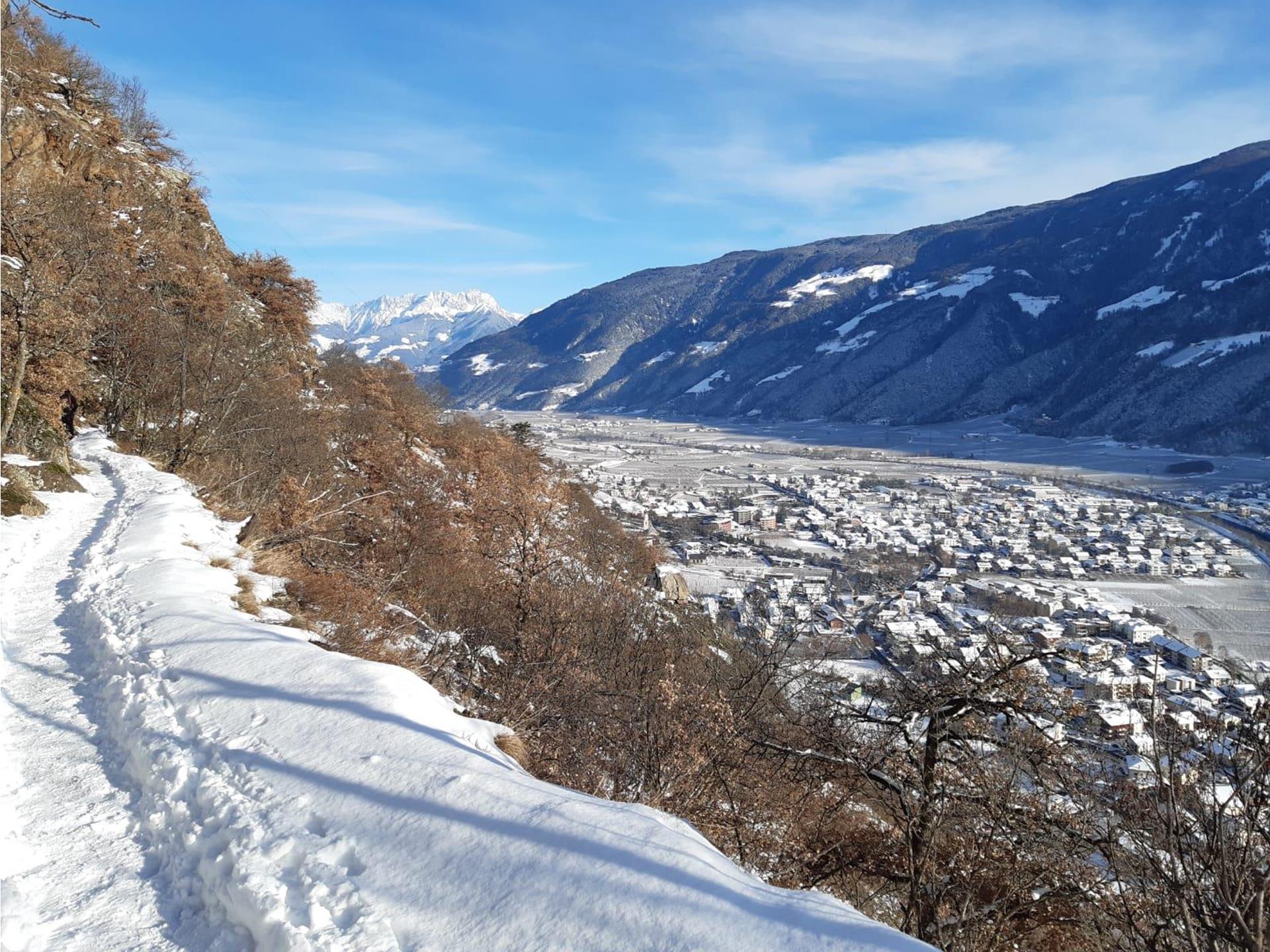 wandern-winter-wallburgweg-tg-naturns-doris-gorfer-wa0005