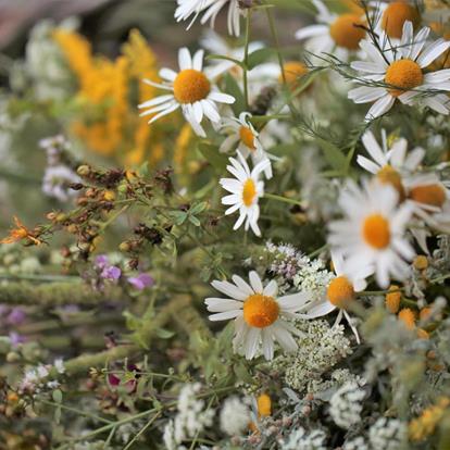 Ferragosto – la festa dell’Assunzione di Maria