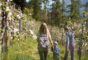 Hiking with Children in the Passeiertal Valley