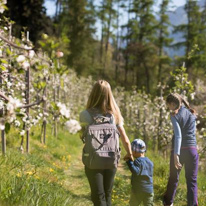 Hiking with Children in the Passeiertal Valley