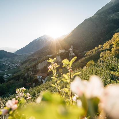 When nature awakens in South Tyrol: