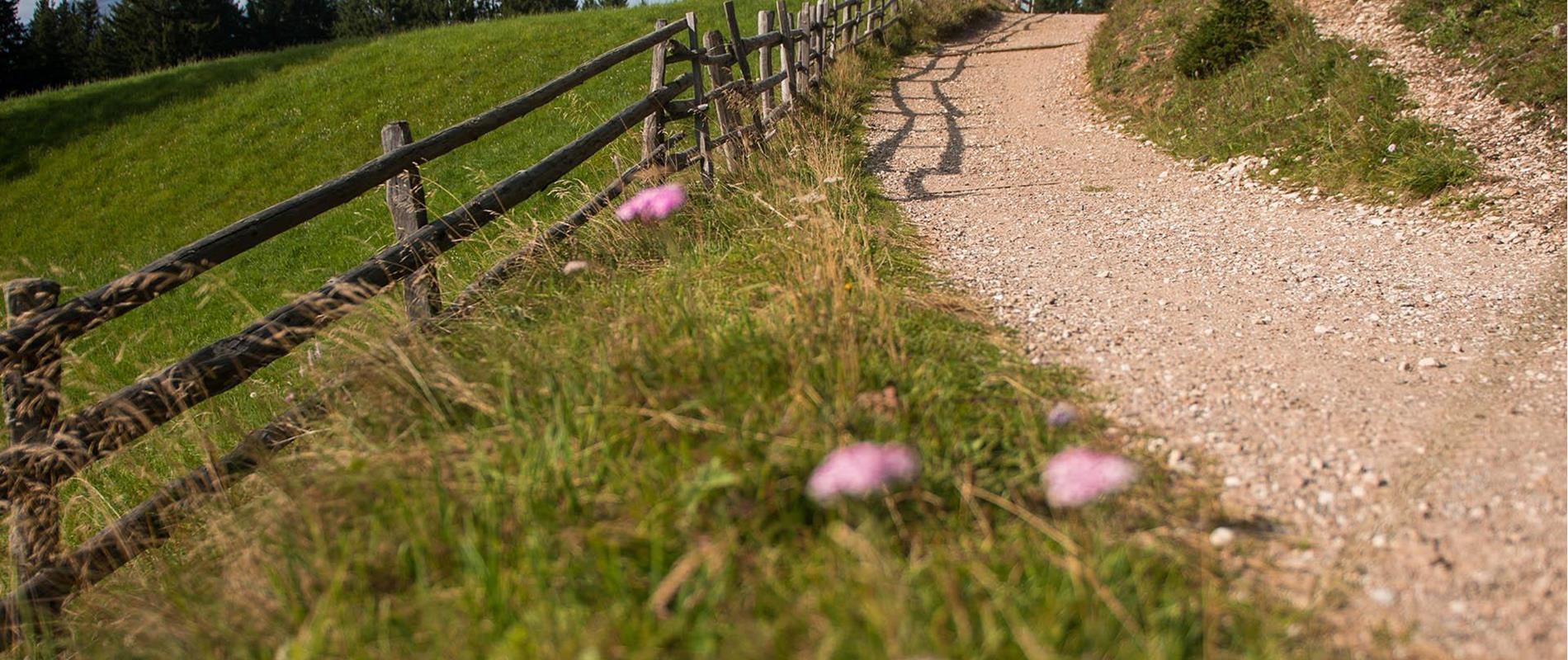 Wandelgebieden in Lana en omgeving bij Merano