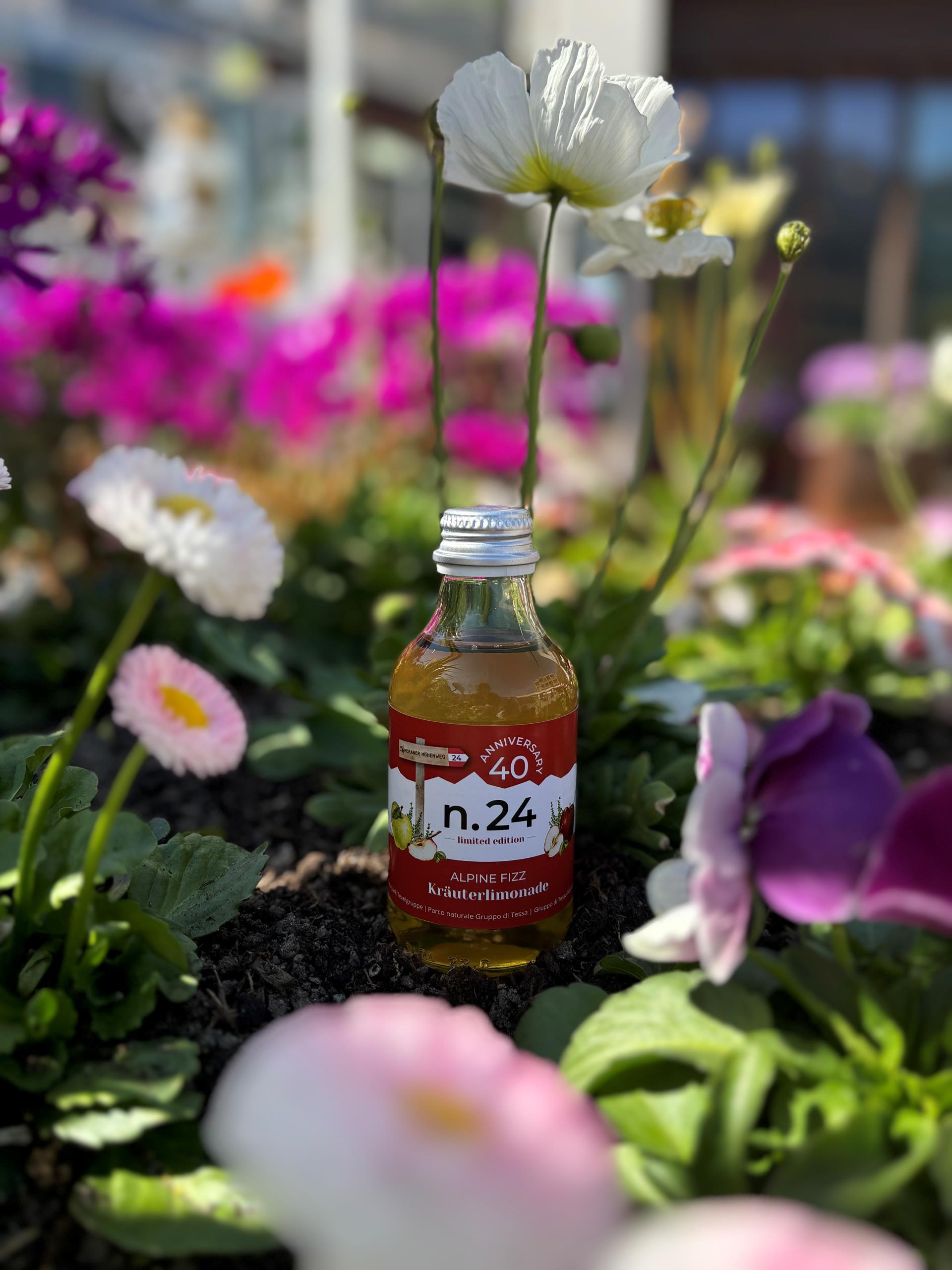 kraeuterlimonade-tg-naturns-lea-schweitzer-3
