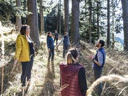 Forest bathing in Parcines