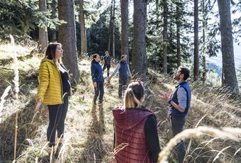 Forest bathing in Parcines