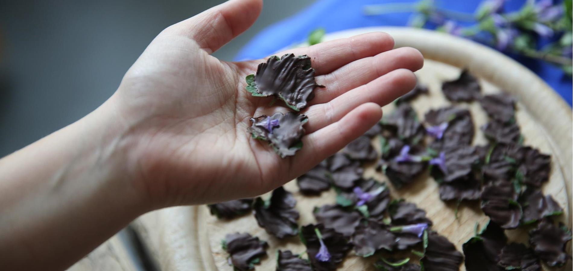 Chocolate-covered ground ivy in dark chocolate cream