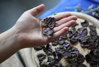 Chocolate-covered ground ivy in dark chocolate cream