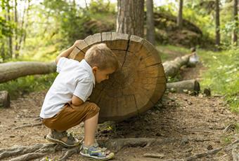 Hiking with Children in Tesimo