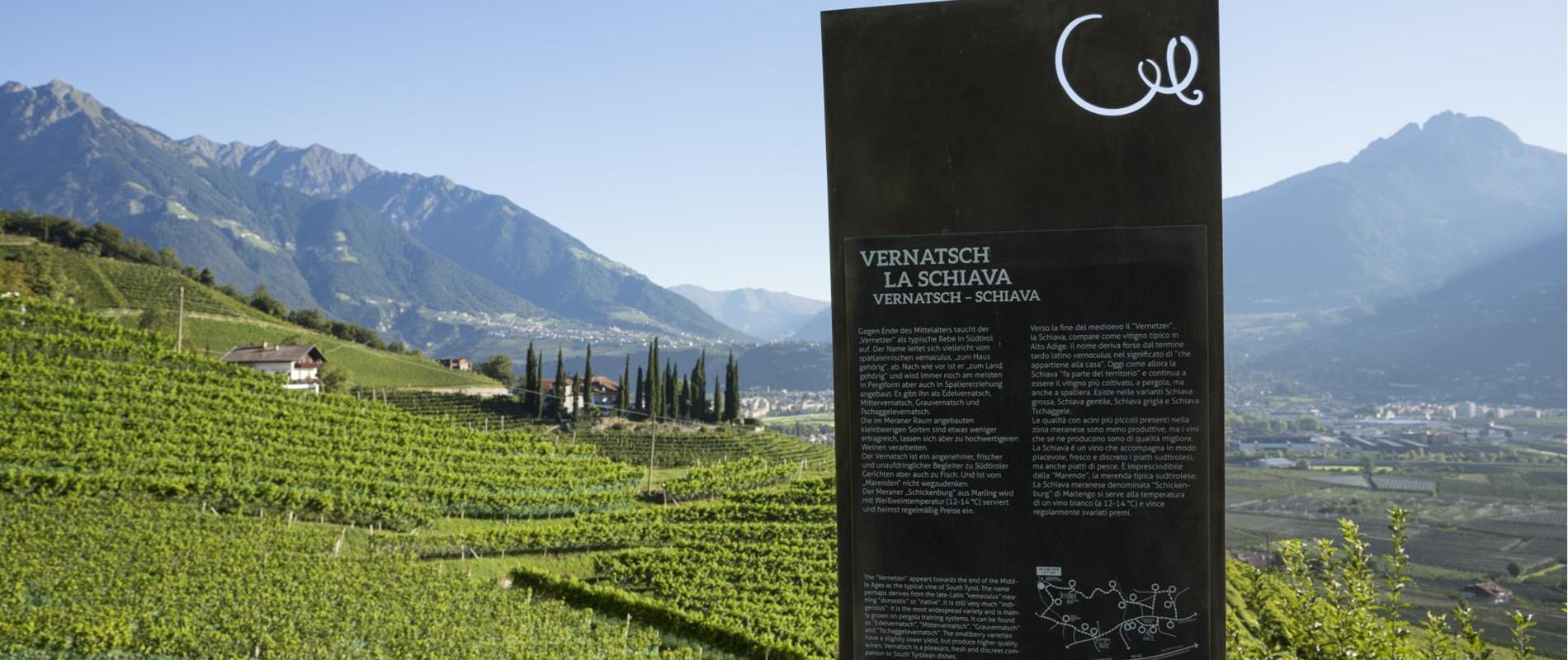 Stele informativa lungo la ViaCulturaVini con vista panoramica