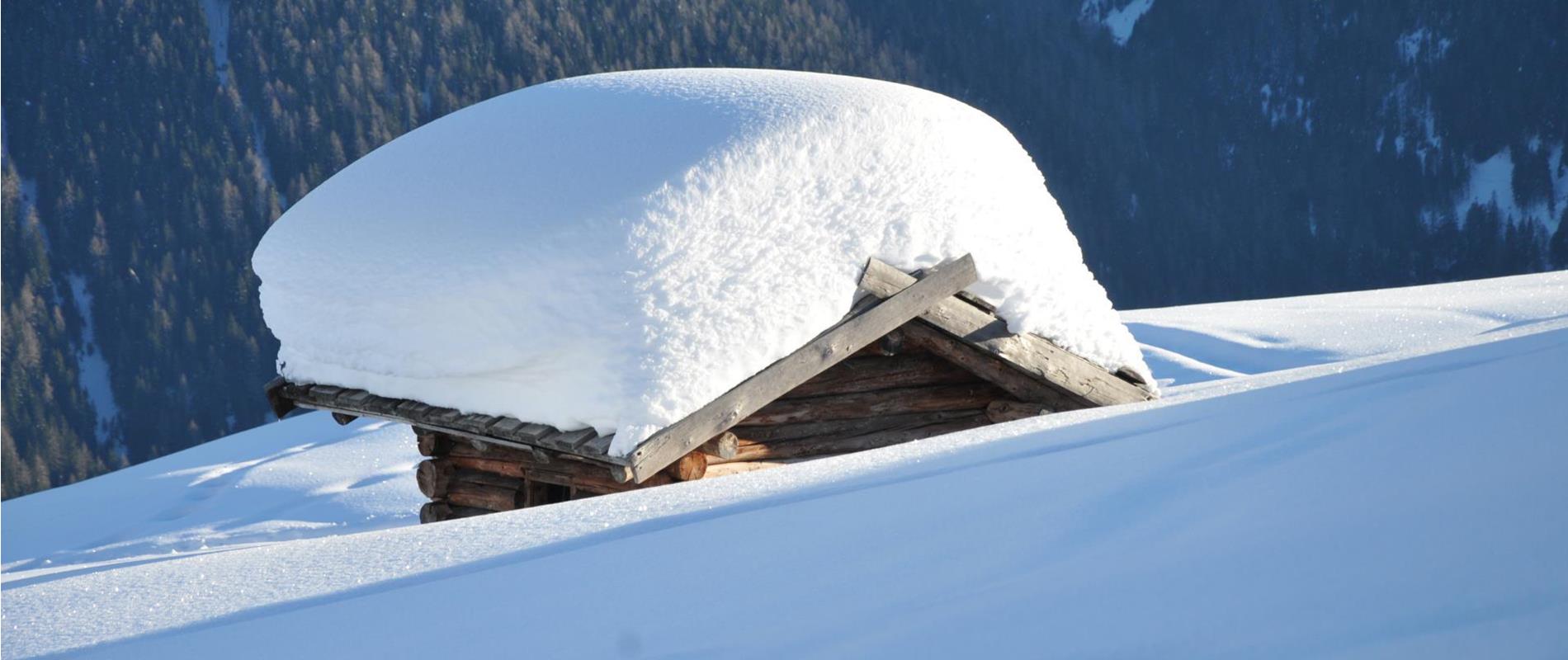 Il bollettino della neve in Val d'Ultimo