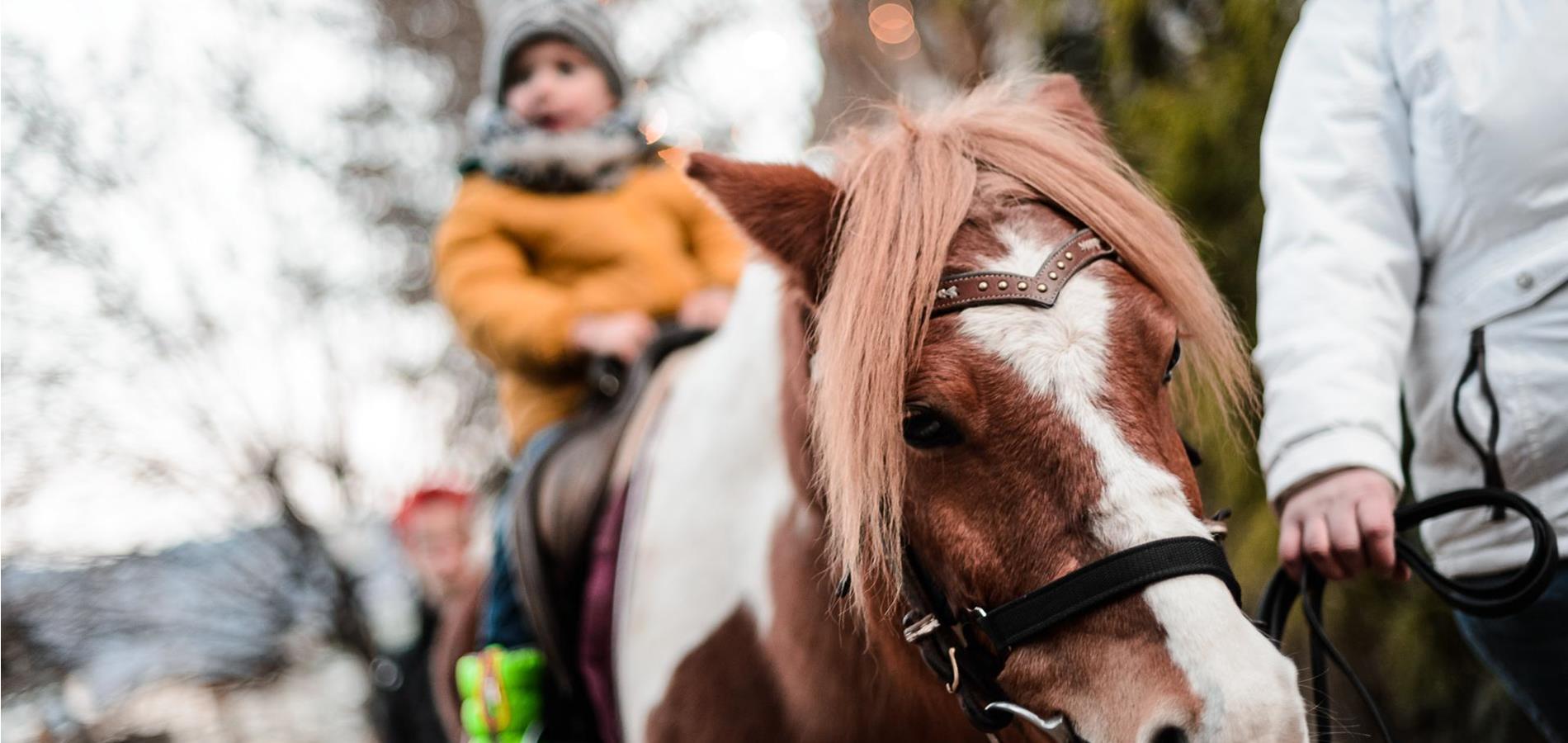 Weihnachtsmarkt Lana - Sterntaler über dem Kapuzinergarten