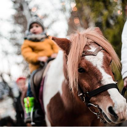 Weihnachtsmarkt Lana - Sterntaler über dem Kapuzinergarten
