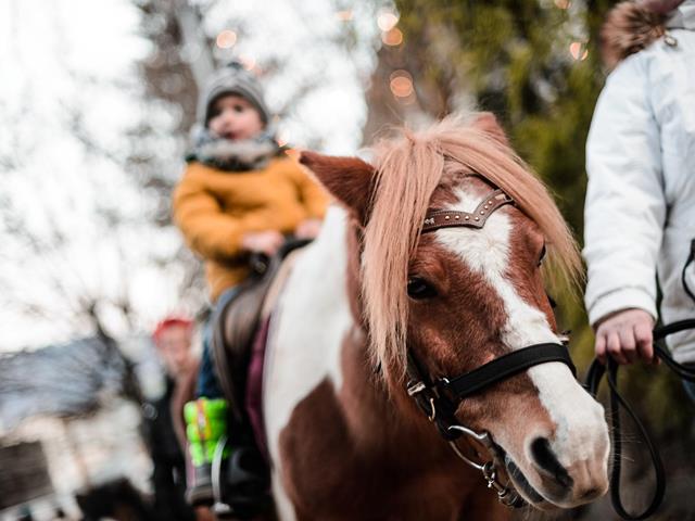 weihnachtsmarkt-sterntaler-psch-38