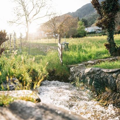 Water – een kostbaar goed, heel dichtbij