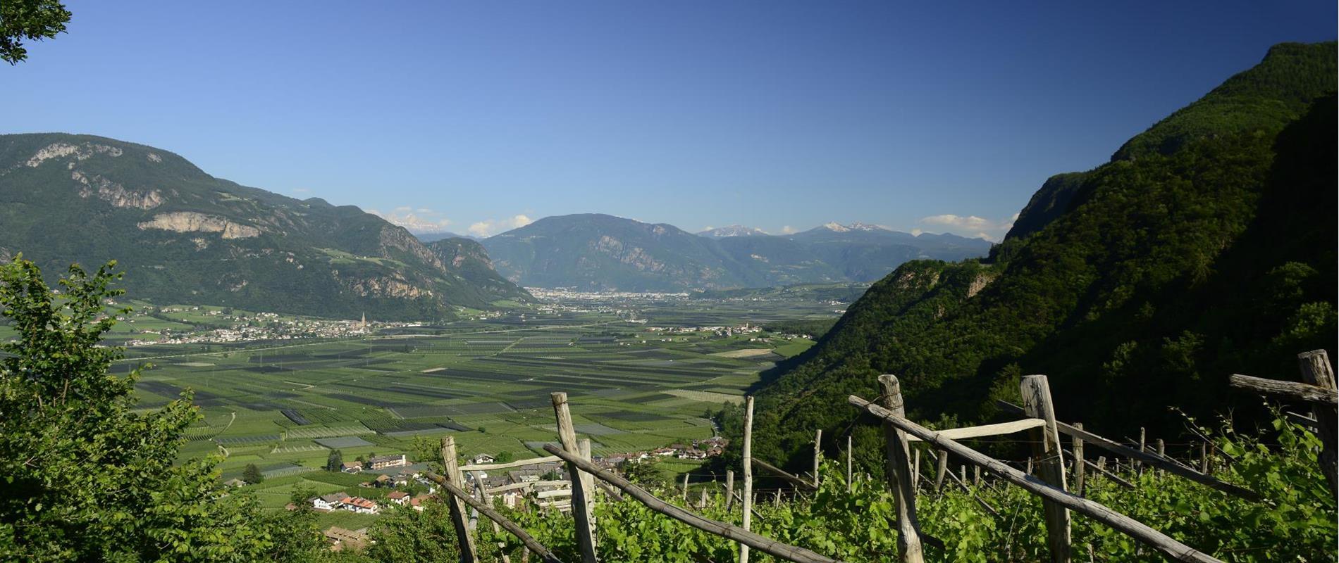Residenze e appartamenti a Nalles e dintorni