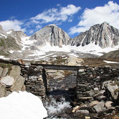 The Merano High Mountain Trail near Parcines