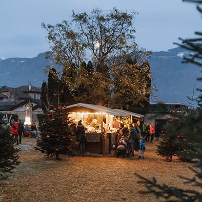 Music in the Capuchin garden