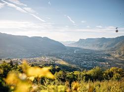 Volete saperne di più sulla fauna dell’Alto Adige?