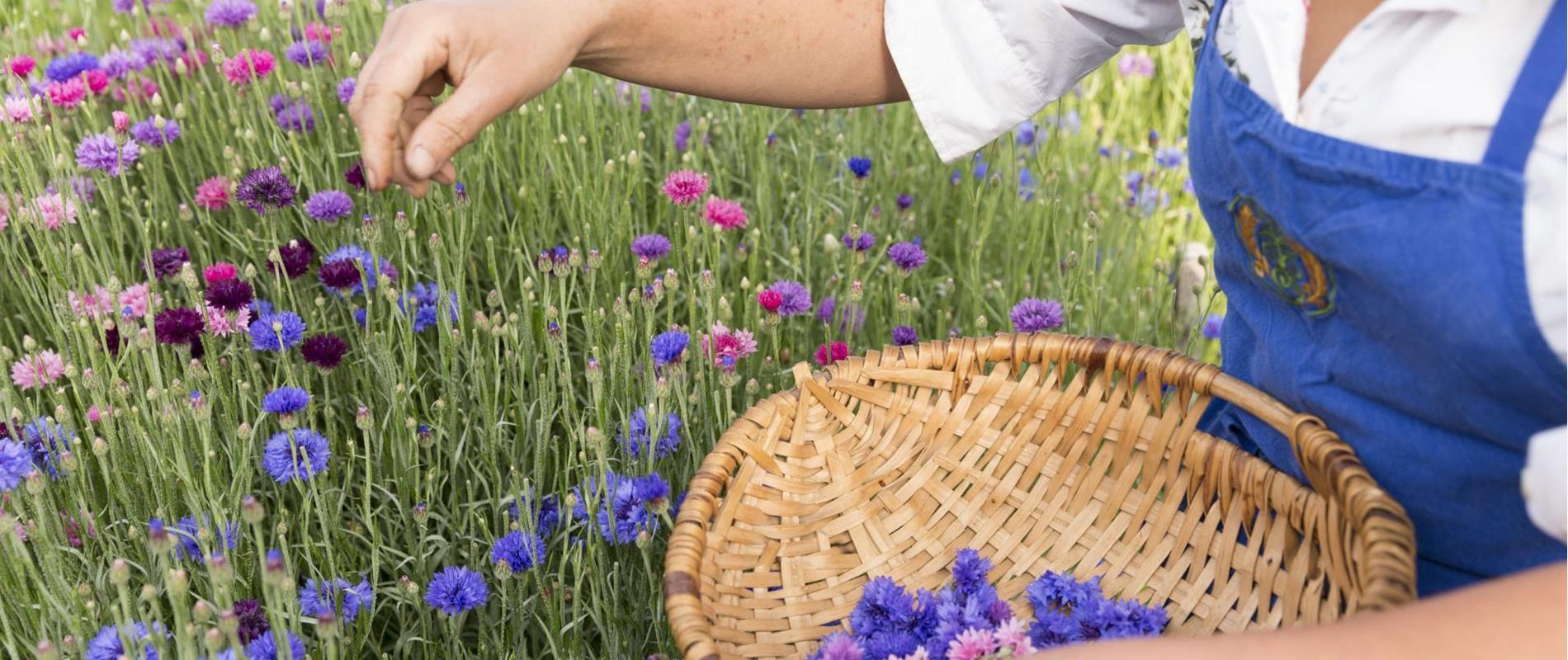 RELAX E NATURA