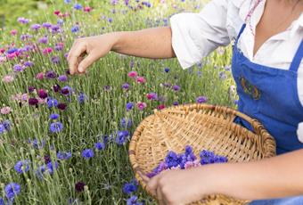 Relax & Natura a Naturno: Wellness naturale a Naturno