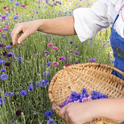 Erholung & Natur in Naturns: Natürliche Wellness nahe Meran