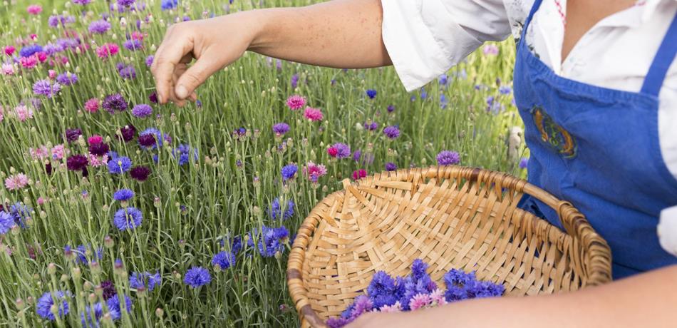 Erholung & Natur in Naturns: Natürliche Wellness in Naturns