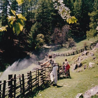 The Origin of the Merano Hight Mountain Trail