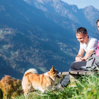 Urlaub mit Hund in Schenna in Südtirol