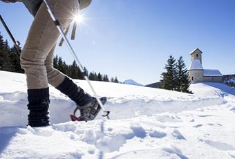 Sneeuwschoenwandelen