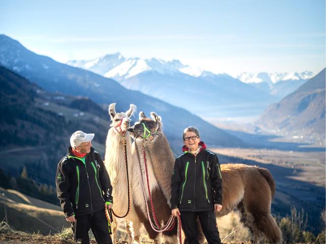 lama-pirchhof-aussicht-tg-naturns-maria-gapp