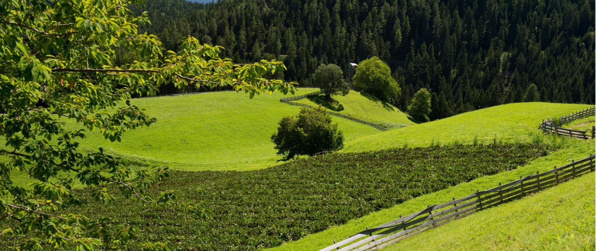 Natura e cultura in Alta Val di Non nel meranese