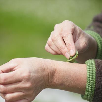 Partschins für alle