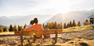 Travel Planning Guide