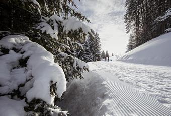 Geführte Wanderungen