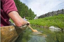 Wochenprogramm Juli 2020