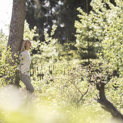 Nature-Forest-bathing-woman-tree-Avelengo-Verano-Merano2000-ml