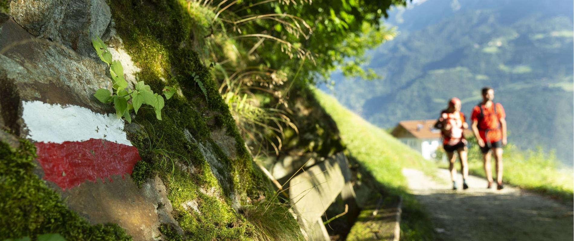 Active holidays in Marlengo and environs