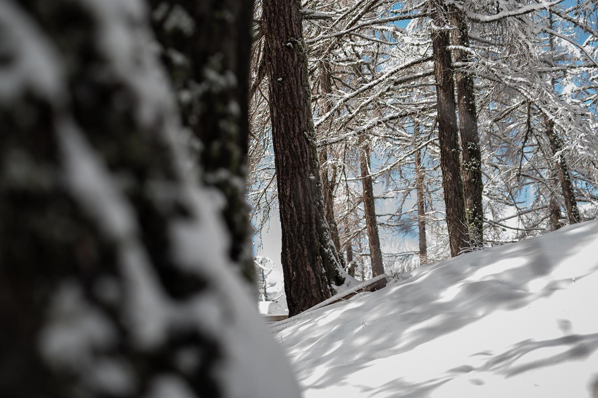 nur-nach-ruecksprache-mit-sybille-verwenden-55
