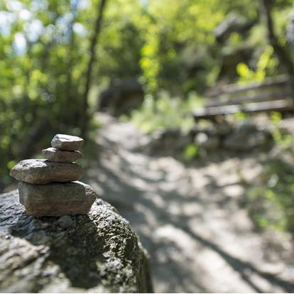 Der wunderschöne Wallburgweg oberhalb von Naturns