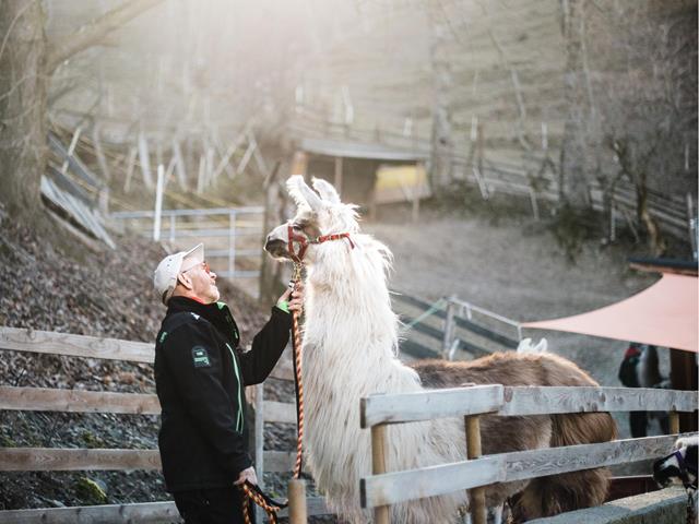 lama-pirchhof-plaus-tg-naturns-maria-gapp