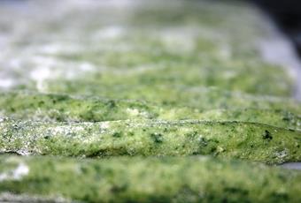 Nettle pasta